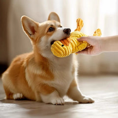 Brinquedo de Pelúcia para Cães