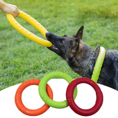Anel de Mordida para Cães Interativo