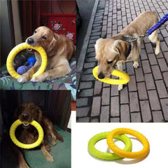 Anel de Mordida para Cães Interativo