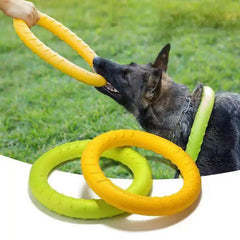 Anel de Mordida para Cães Interativo