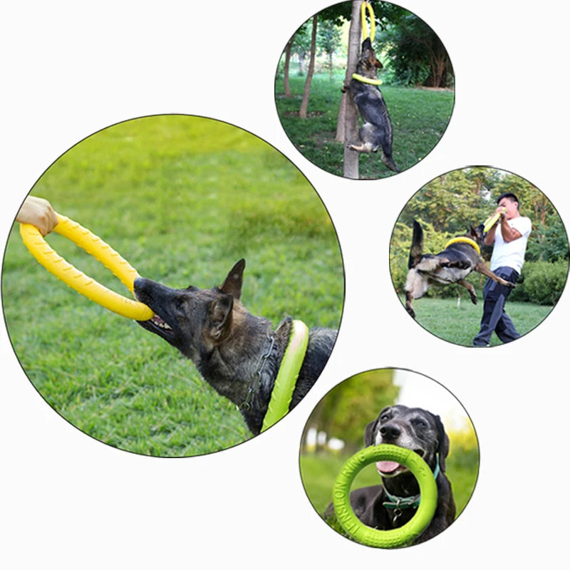 Anel de Mordida para Cães Interativo