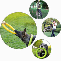 Anel de Mordida para Cães Interativo